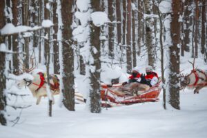 Елфин Еванс, Кале Рованпера, Себастиен Ожие, Такамото Кацута